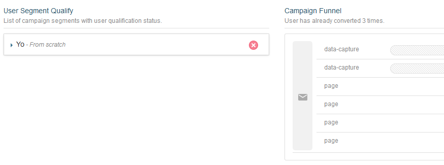 Segments the customer belongs to when qualifying for the selected campaign