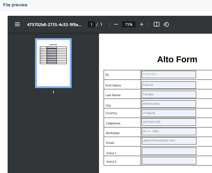 Previewing the customer data