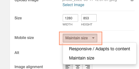 Maintain image size