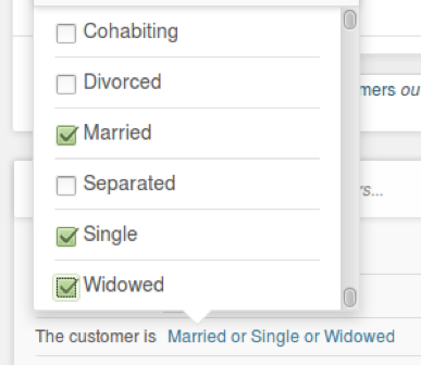 OR logic within a single condition — multiple values selected for the same field